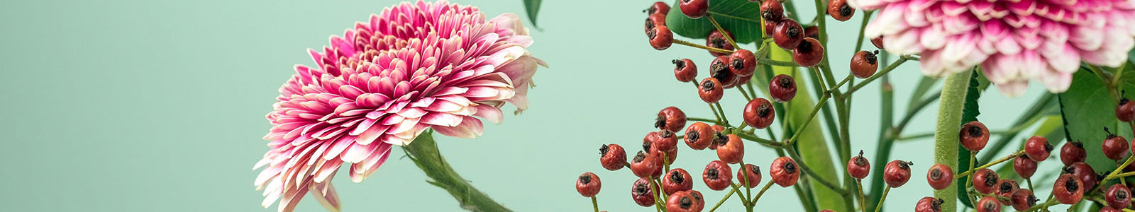 Anita Blumen - Blumen, Blüten, Festtagsfloristik